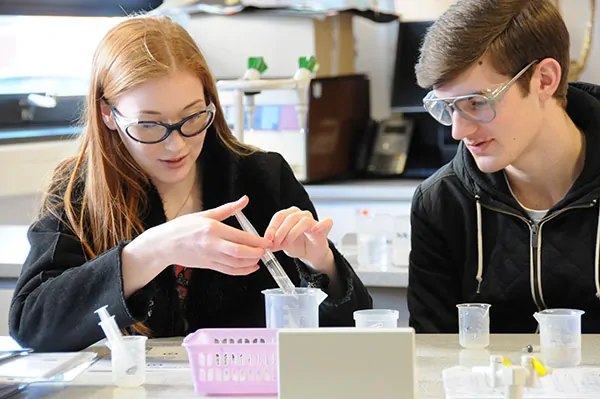 Two Science students conducting an experiment. colleges near me